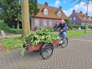 25 oktober | We gaan weer Snoeien 🌳✂️🍃