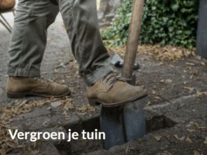 Tips & Subsidie | ‘s-Hertogenbosch – Ga voor Groen 🌳